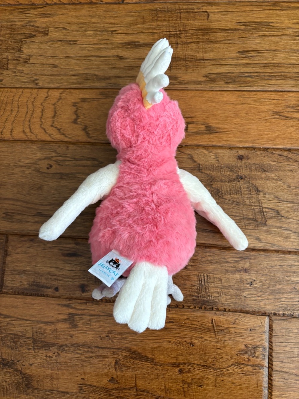 Jellycat Squawkatoo - Picture 7 of 11